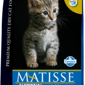 Matisse Kitten 400g